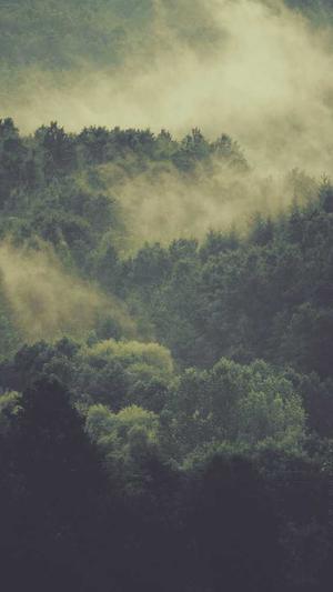 境外银行卡黑料截图2