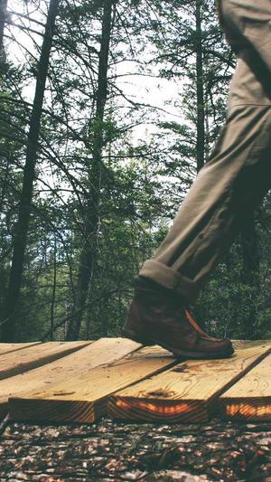 吃瓜表情包 gif截图1