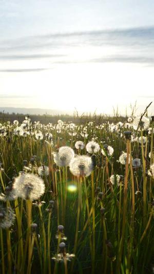 黑料网是什么截图4