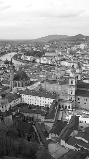 白兰瓜怎么吃截图2