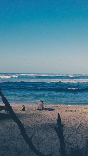 中午吃哈密瓜会胖吗截图4