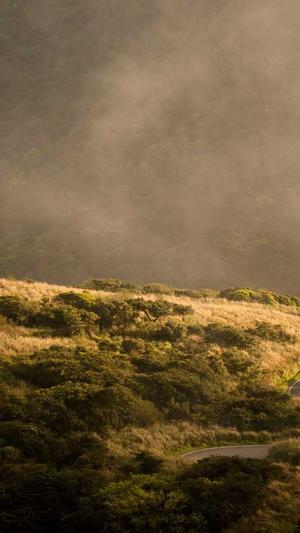 zztt08黑料不打烊截图4