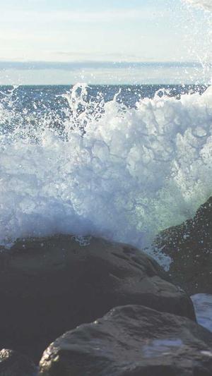 吃瓜群免费加入截图1