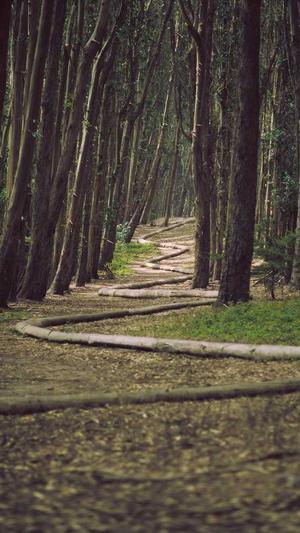 吃哈密瓜的好处与坏处截图2