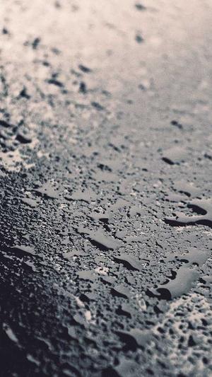 黑料正能量导航首页seo截图2