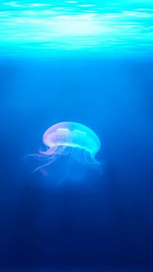 黑料不打烊zzzttt截图2