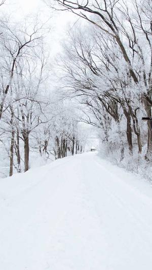 今日吃瓜51cg热门大瓜截图2