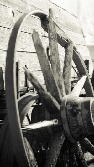 怀孕可以吃哈密瓜截图3