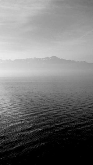 孕中期可以吃哈密瓜吗截图1