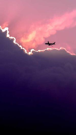 豆瓣吃瓜小组截图1