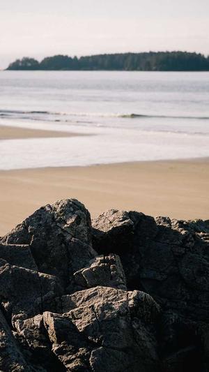 吃瓜群众什么梗截图4