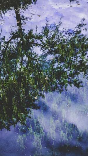 奇迹宠物店老板吃瓜截图1