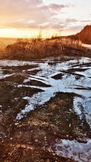 飞轮海成员辰亦儒吃瓜截图4