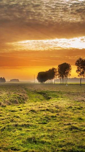 哈密瓜如何吃截图4