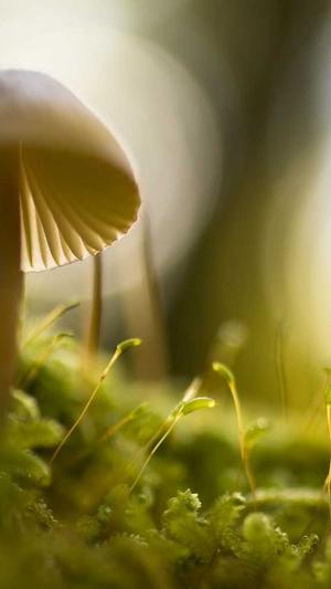 黑料社网站截图5