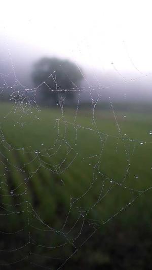 91吃瓜网在线观看截图2