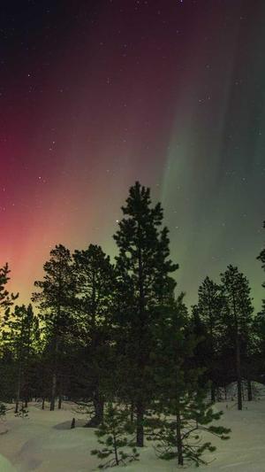 产妇可以吃哈密瓜截图4