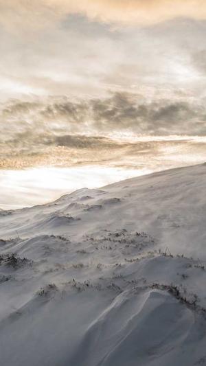 吃瓜群众是什么意思截图1