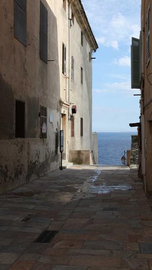 哈密瓜和螃蟹能一起吃吗截图2