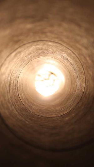 最强大脑关睿怡黑料截图2