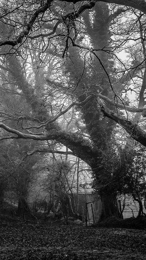 51吃瓜网最新地址截图4