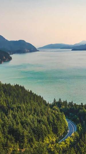 吃瓜网站.截图2