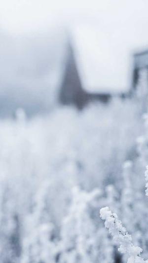 蔡徐坤吃瓜群众表情包截图1