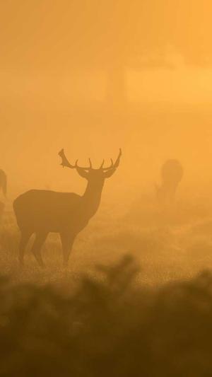 黑料社区资源号码截图4