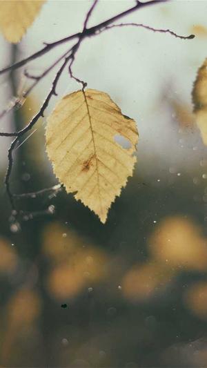 吃瓜视频微信聊天记录截图3